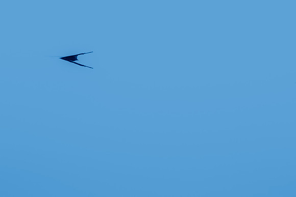 Abstract in Blue