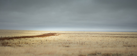 Colorado Prairie #3
