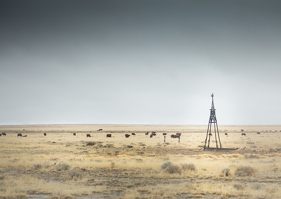 Prairie Windmill