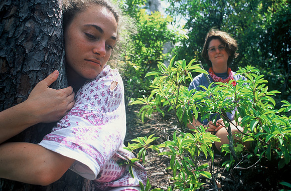 Tree Hugger