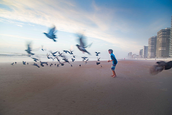 Boy and Birds