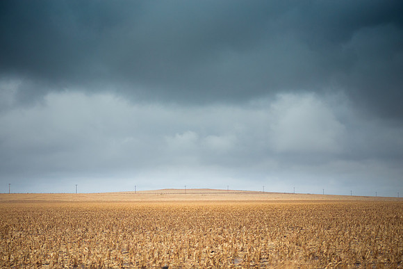 Colorado prairie #3