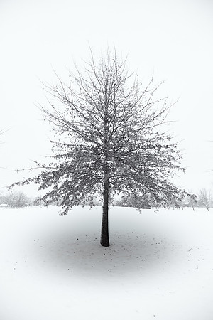 IMG_3572-Edit