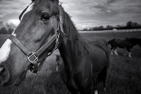 _DSF9339-Edit