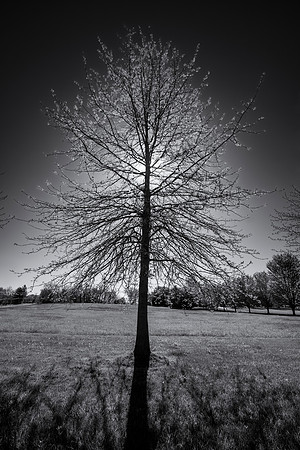 _DSF9034-Edit